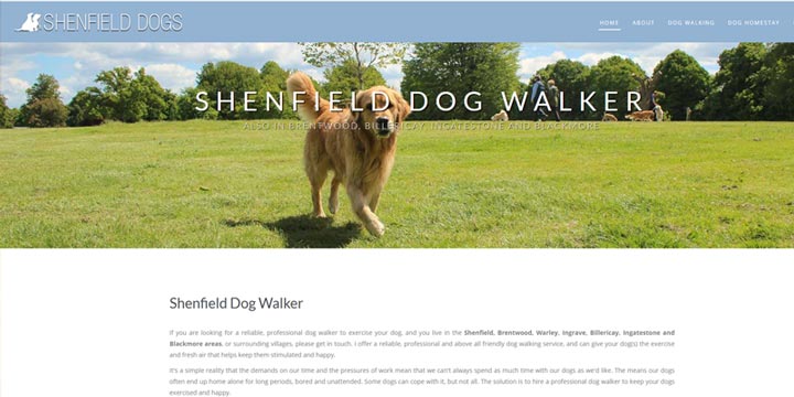 Shenfield and Brentwood Dog Walker